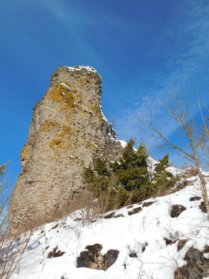 Urlaub Am Auberg Apartment *